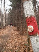P1150035.JPG