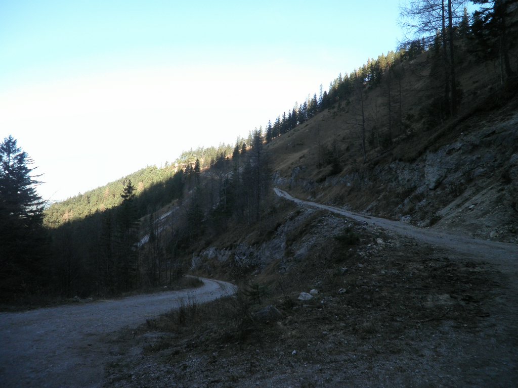 PB220233.JPG