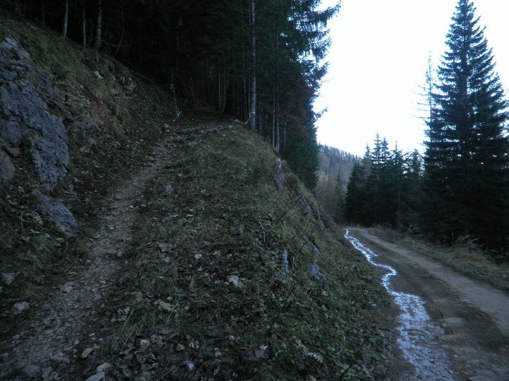 PB220242.JPG