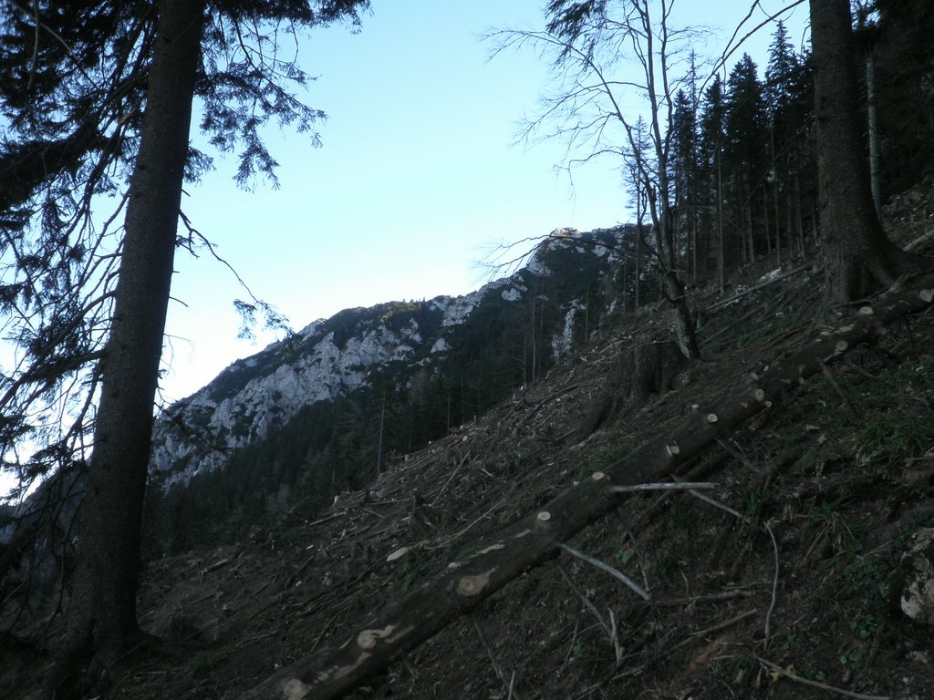 PB220249.JPG