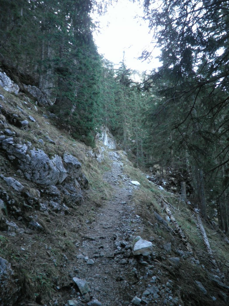 PB220256.JPG