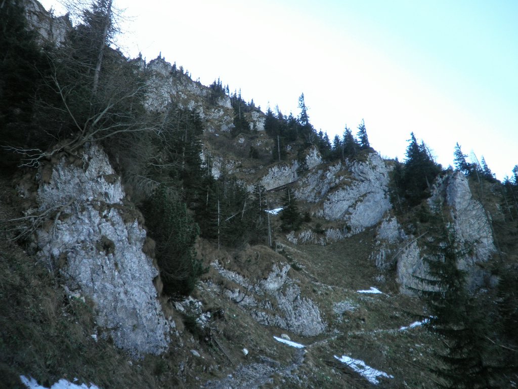 PB220257.JPG