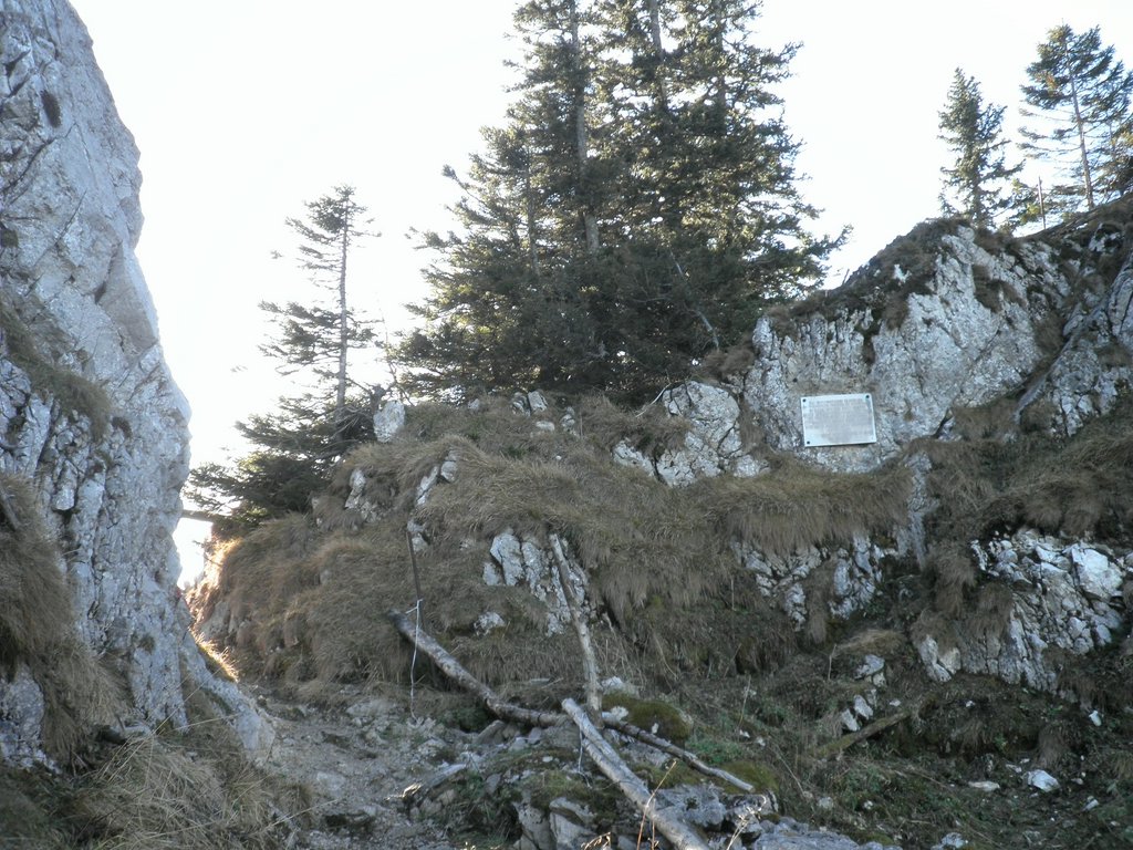 PB220261.JPG