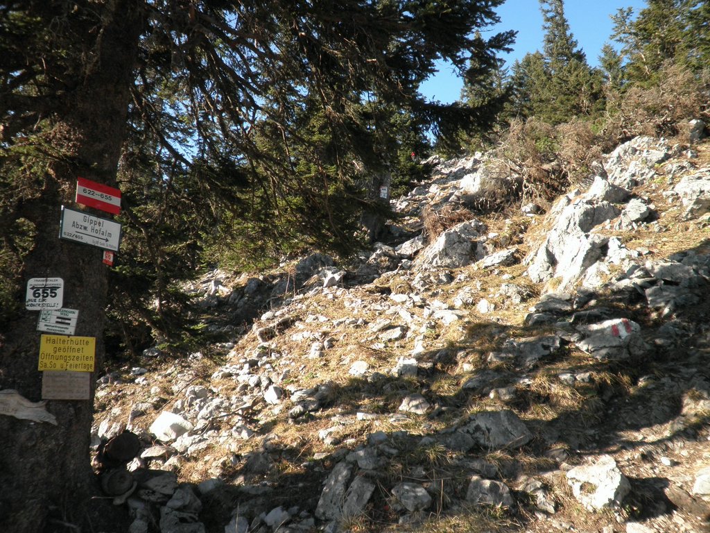 PB220266.JPG