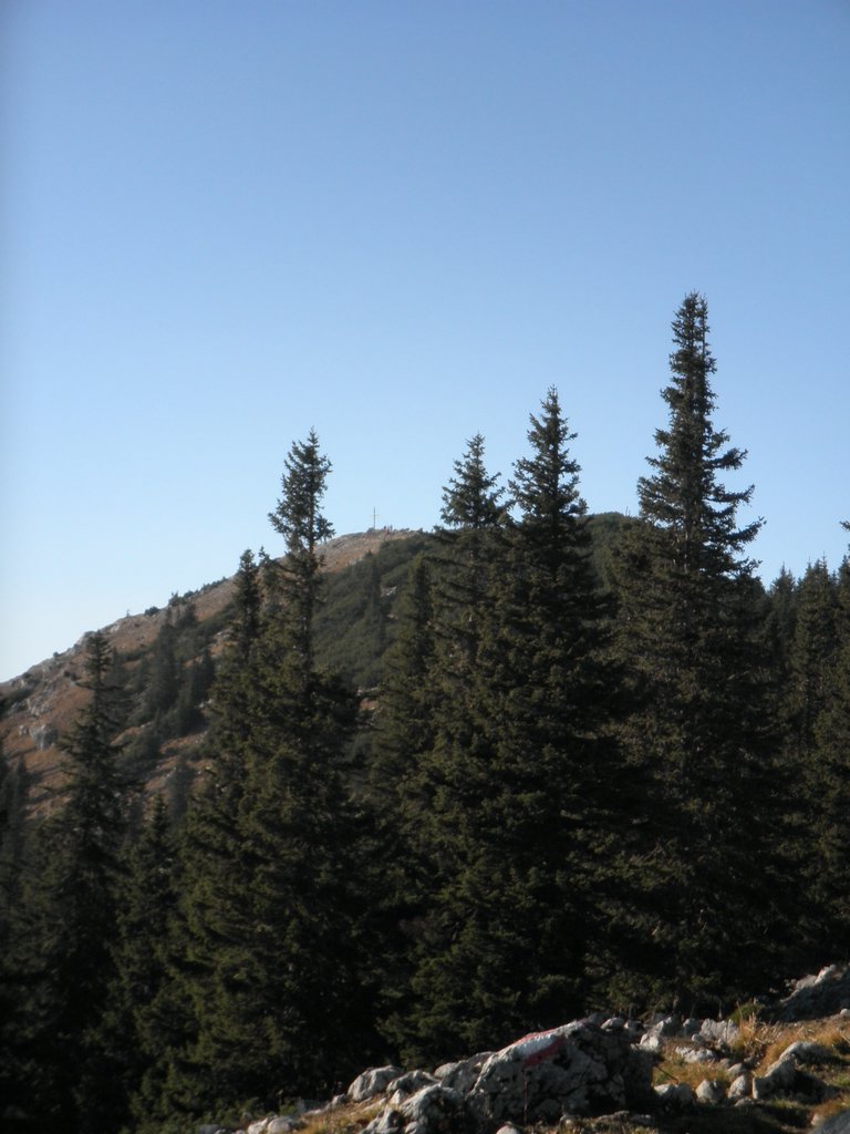 PB220268.JPG