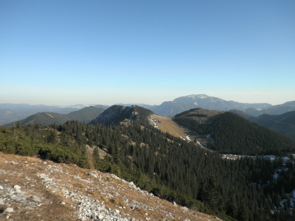 PB220274.JPG
