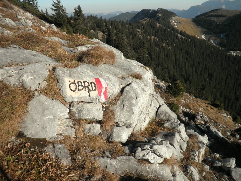 PB220276.JPG