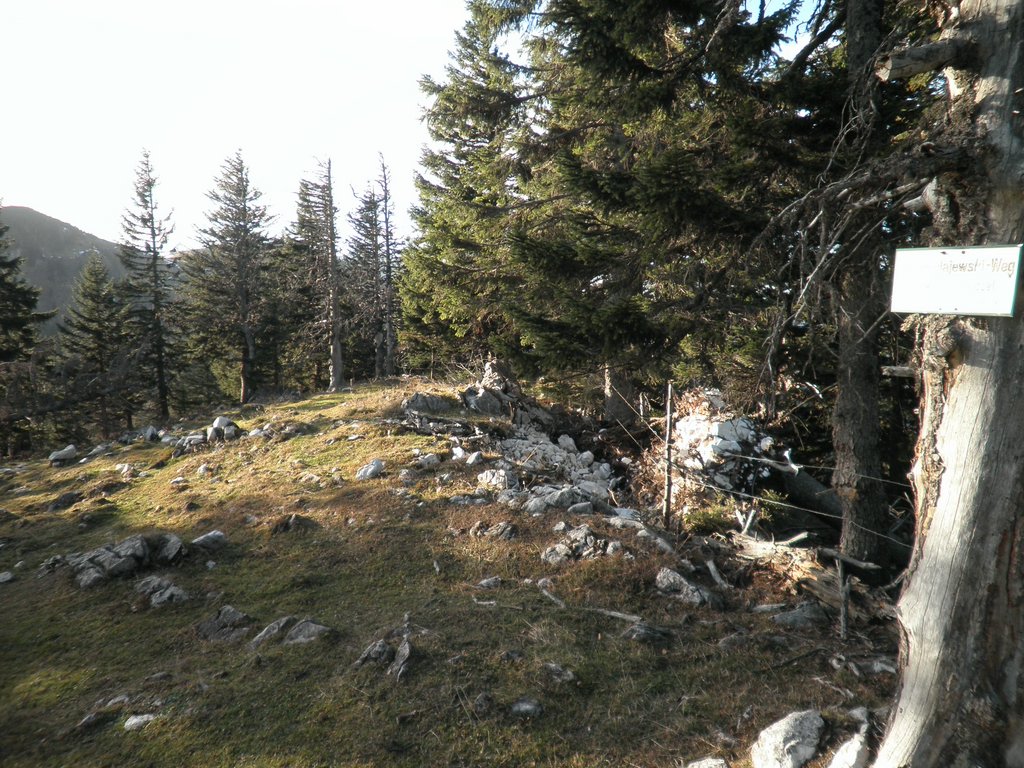 PB220282.JPG