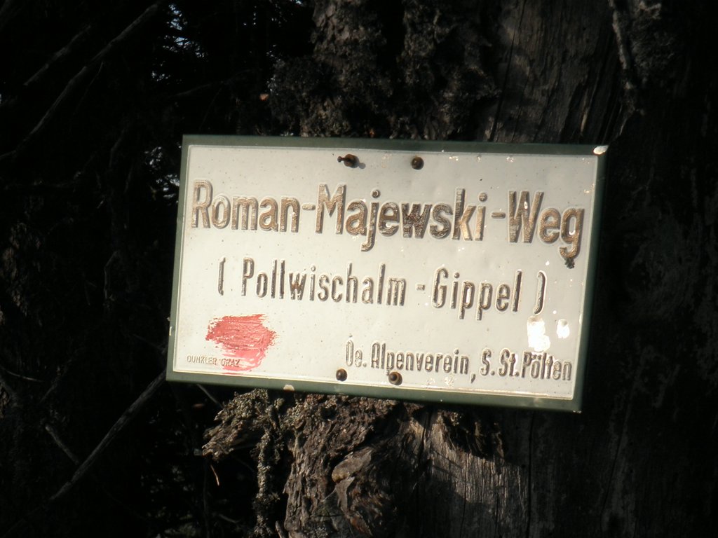 PB220283.JPG