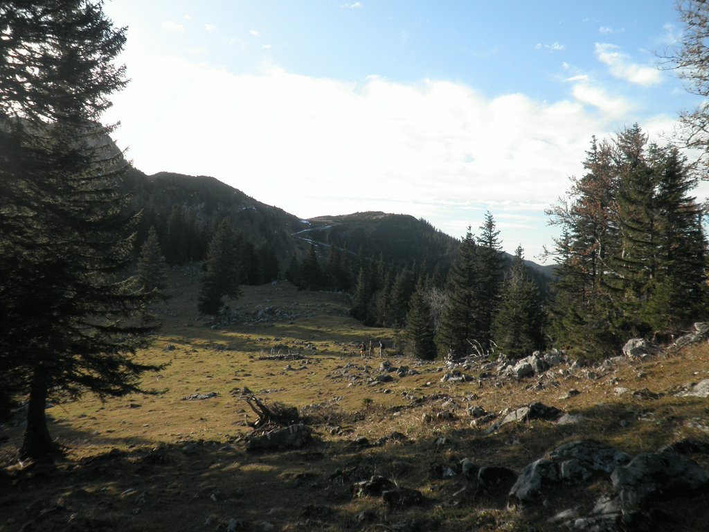 PB220284.JPG