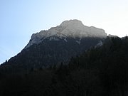 PB220229.JPG