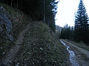 PB220242.JPG
