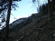 PB220249.JPG