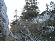 PB220261.JPG