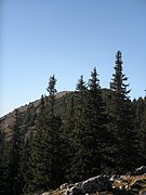 PB220268.JPG