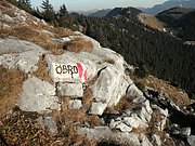 PB220276.JPG