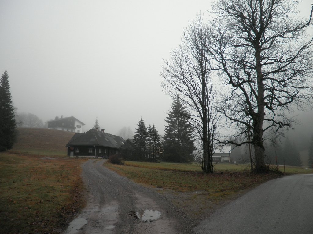 PB130001.JPG