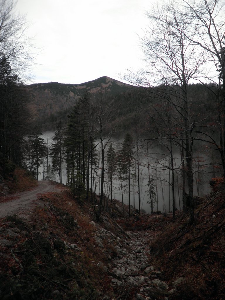 PB130011.JPG