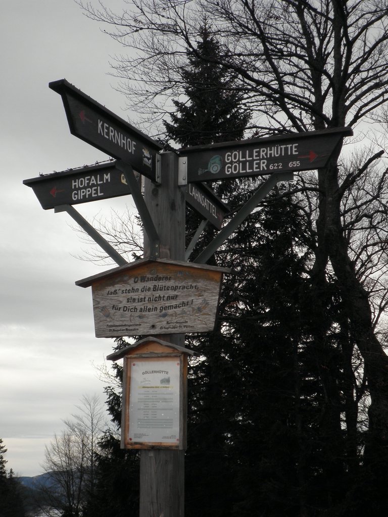 PB130016.JPG