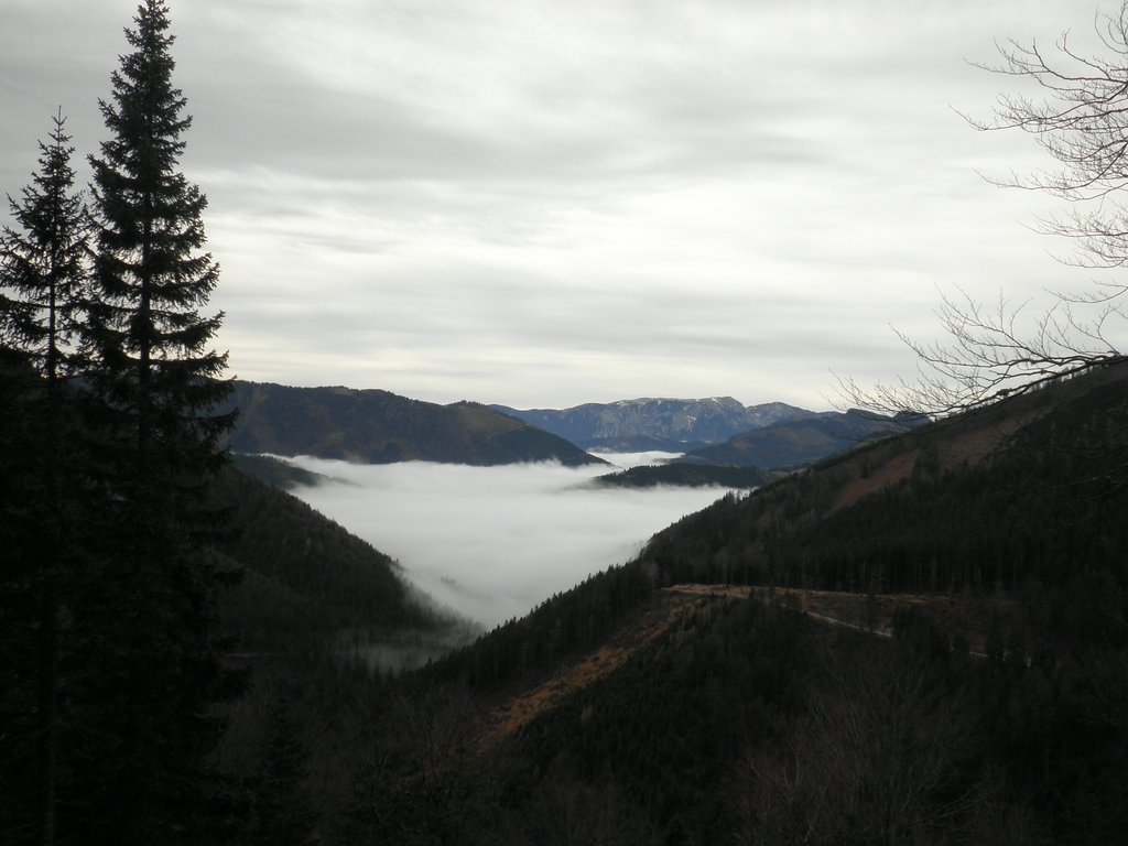 PB130017.JPG
