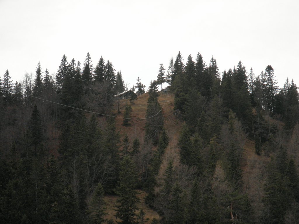 PB130021.JPG