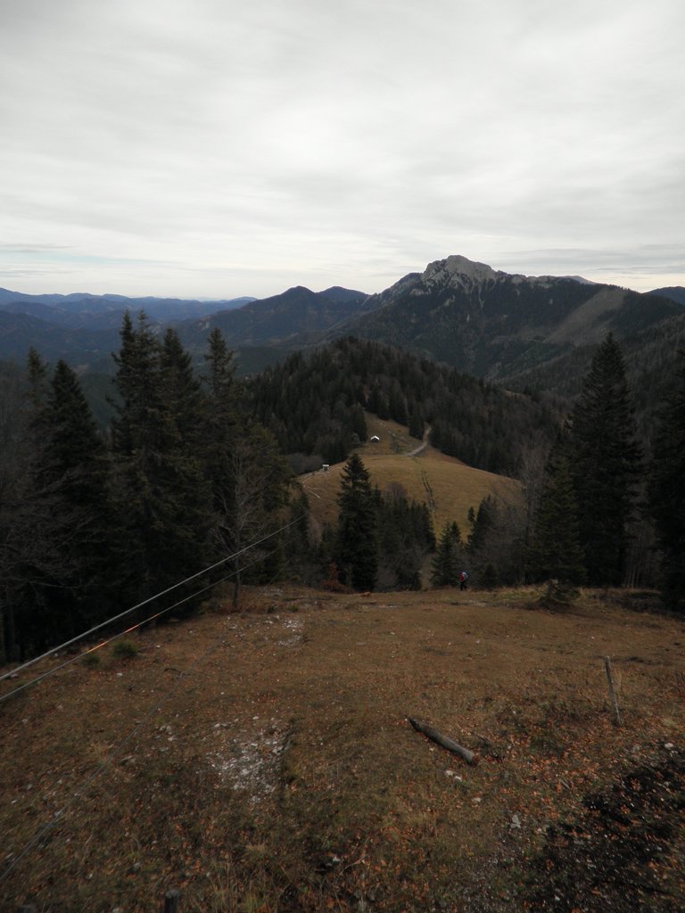 PB130027.JPG