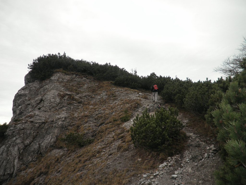PB130030.JPG