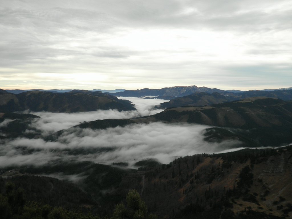 PB130033.JPG