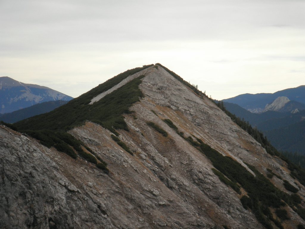 PB130039.JPG