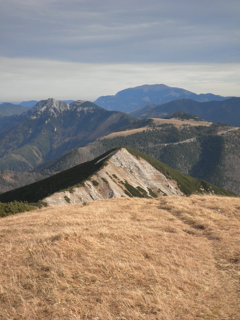PB130055.JPG