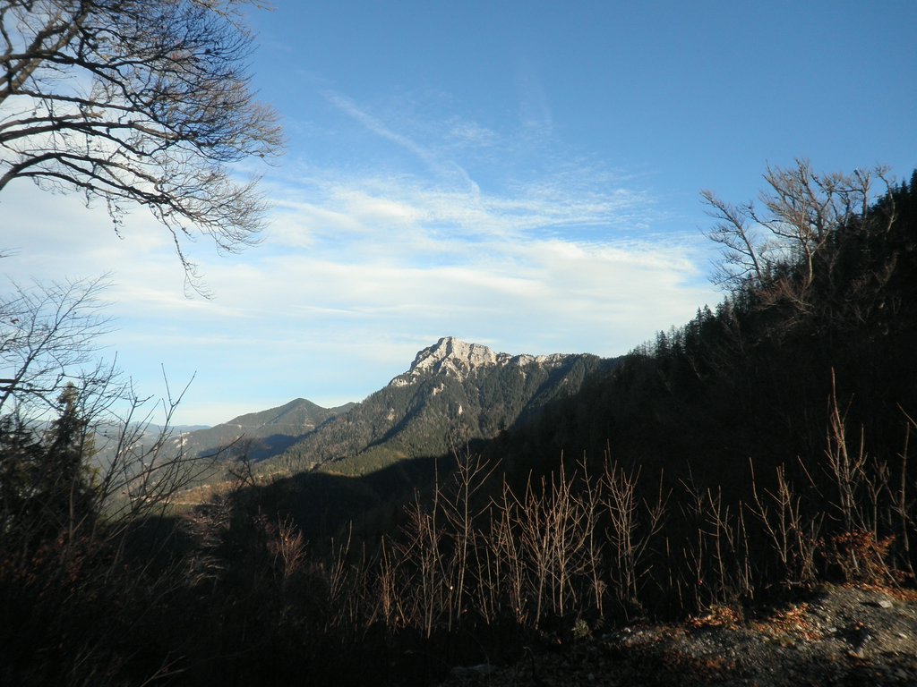 PB130067.JPG