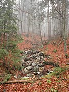PB130008.JPG