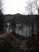 PB130011.JPG