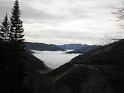 PB130017.JPG