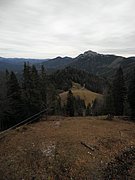 PB130027.JPG