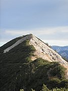 PB130058.JPG