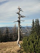 PB130064.JPG