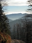 PB130070.JPG