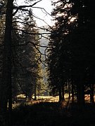 PB130077.JPG