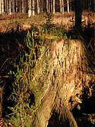 PB130079.JPG