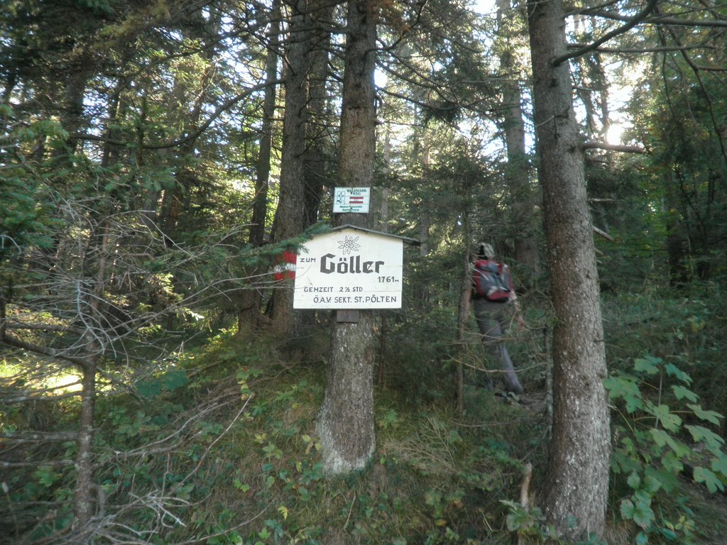 PA020003.JPG