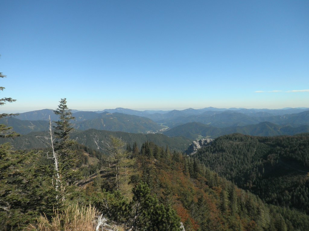 PA020007.JPG