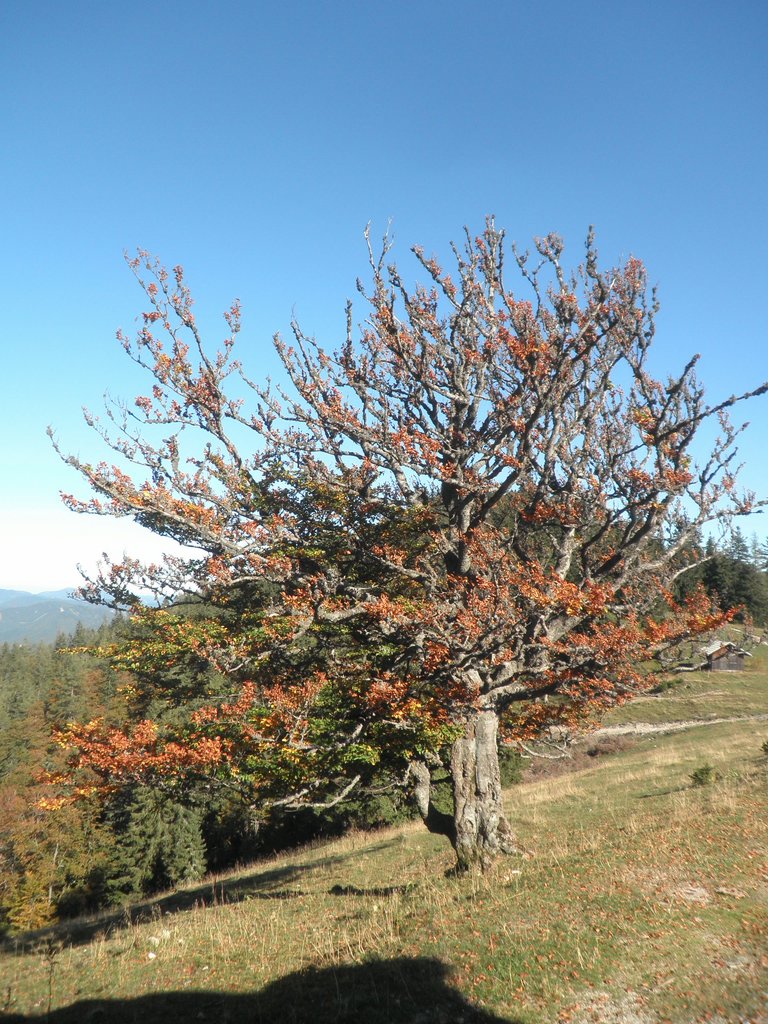 PA020032.JPG