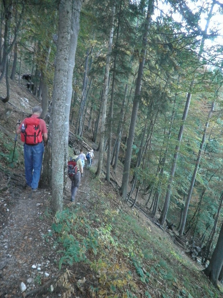 PA020036.JPG