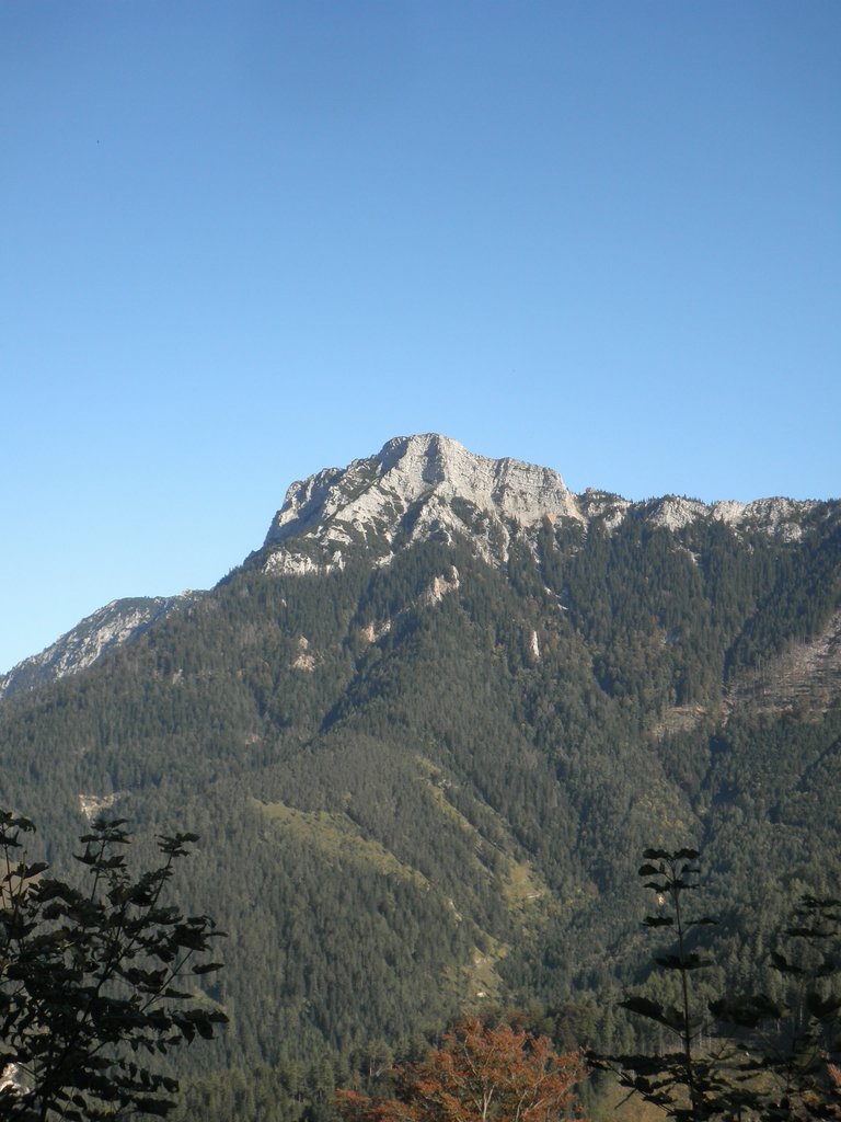 PA020038.JPG