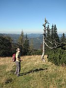 PA020025.JPG