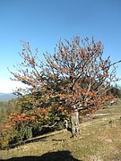 PA020032.JPG
