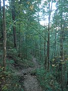 PA020042.JPG
