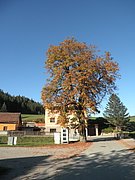 PA020045.JPG