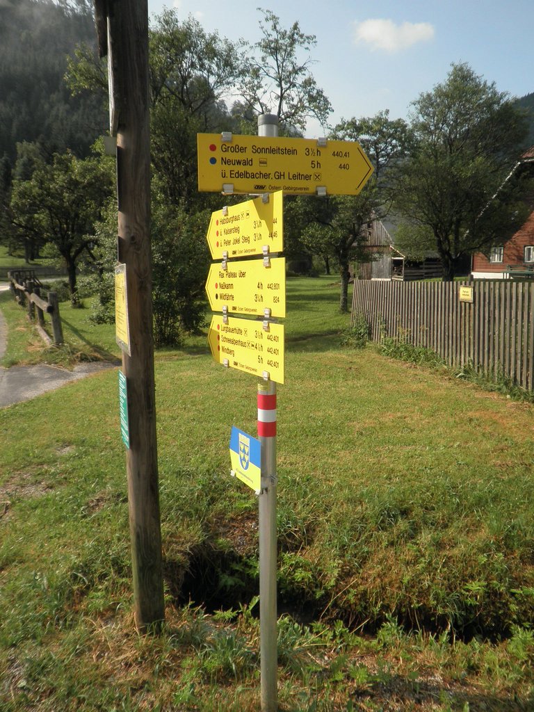 P7040002.JPG